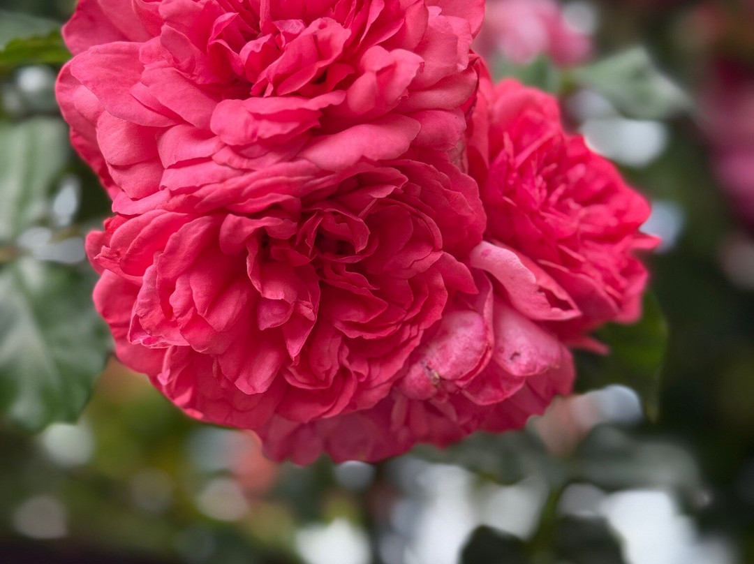 Im Malerwinkel主图