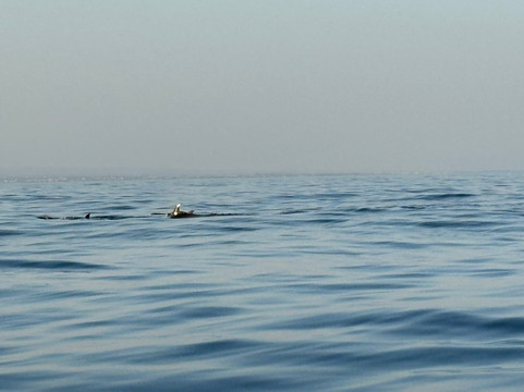 Culatratours-奥良必去景点