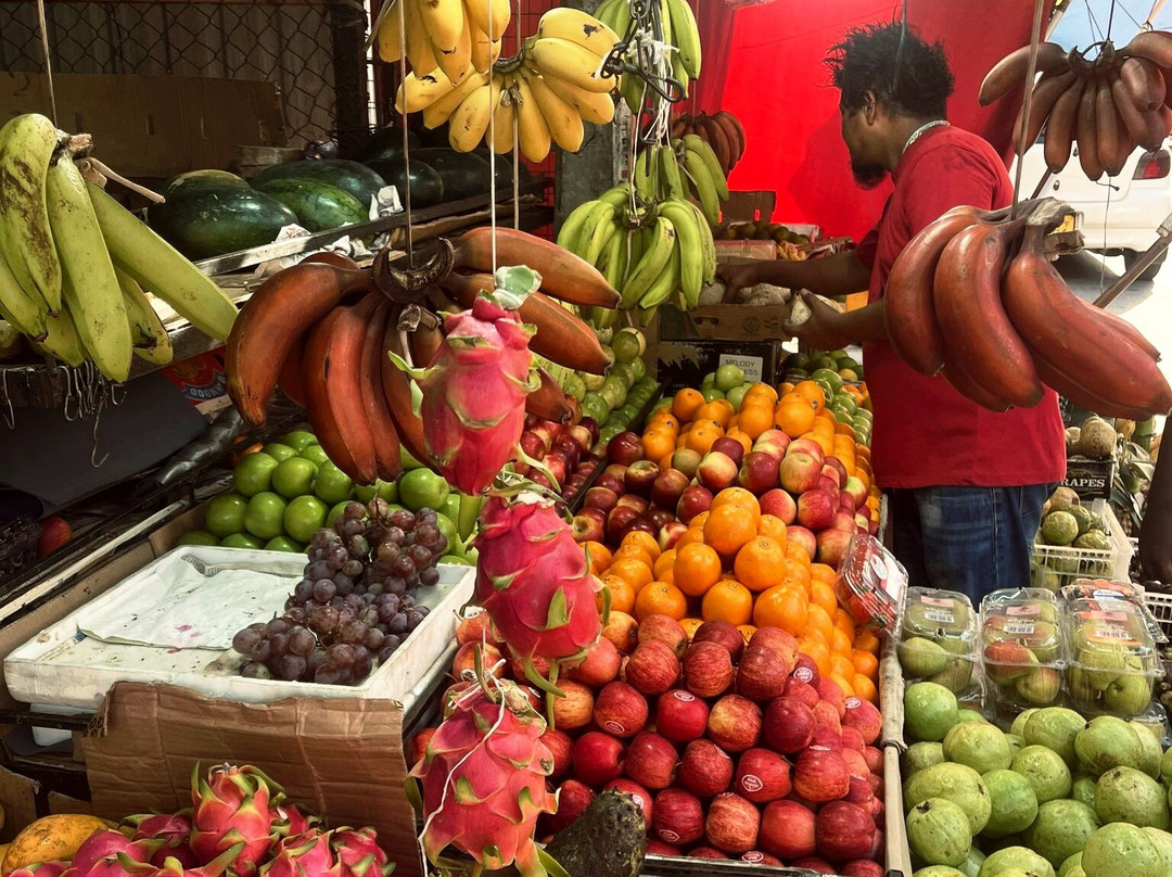 Enviro Bicycle Tours-尼甘布必去景点