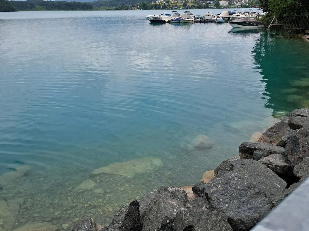 Pension - Ferienhauser Waldruh - Tannenheim - Inge主图