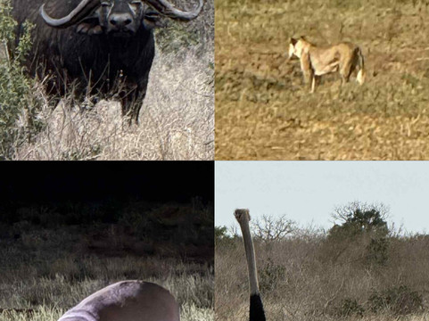 Bush Adventure - your safari partner-内罗毕必去景点