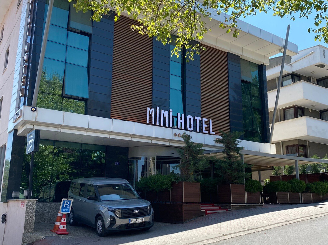Mimi Hotel Ankara主图