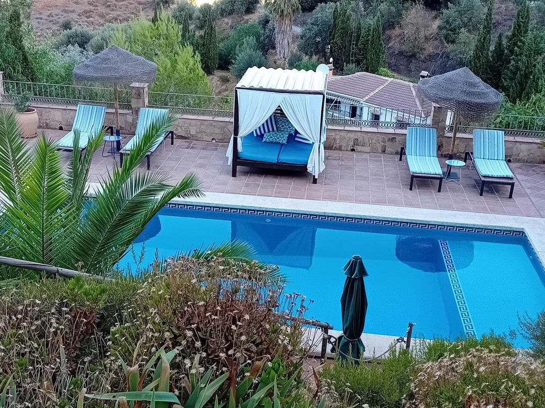 El Nispero Dulce主图