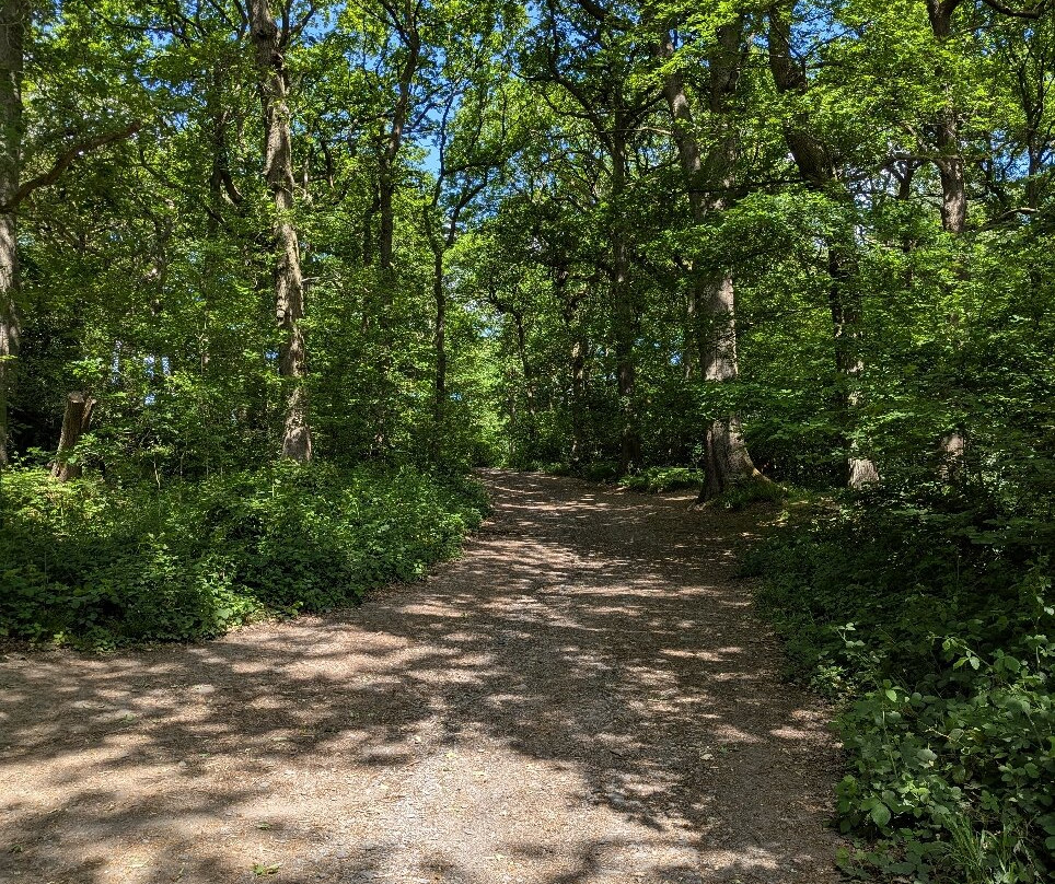 布拉德盖特公园-Newtown Linford必去景点