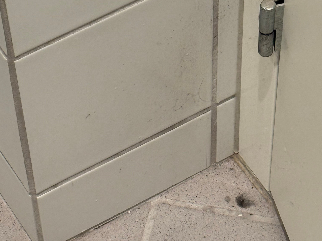 Fuglsoecentret主图