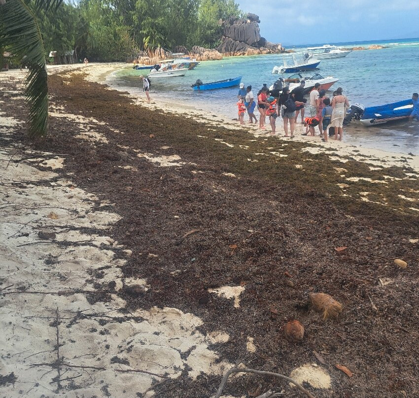 Praslin: Curieuse & St Pierre Island Day Trip with Barbecue-Curieuse Island必去景点