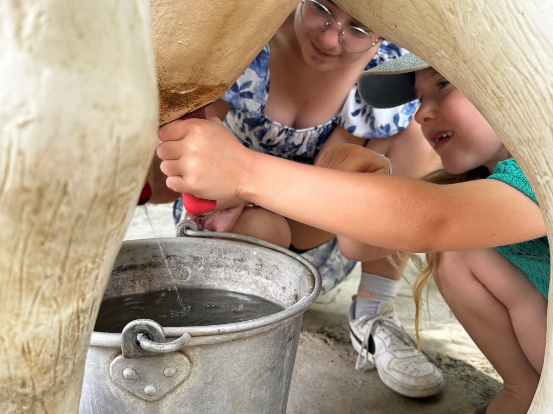 Le Vieux Mas-Beaucaire必去景点