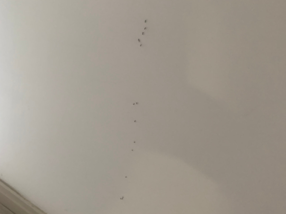 Vila Baleira Suites主图