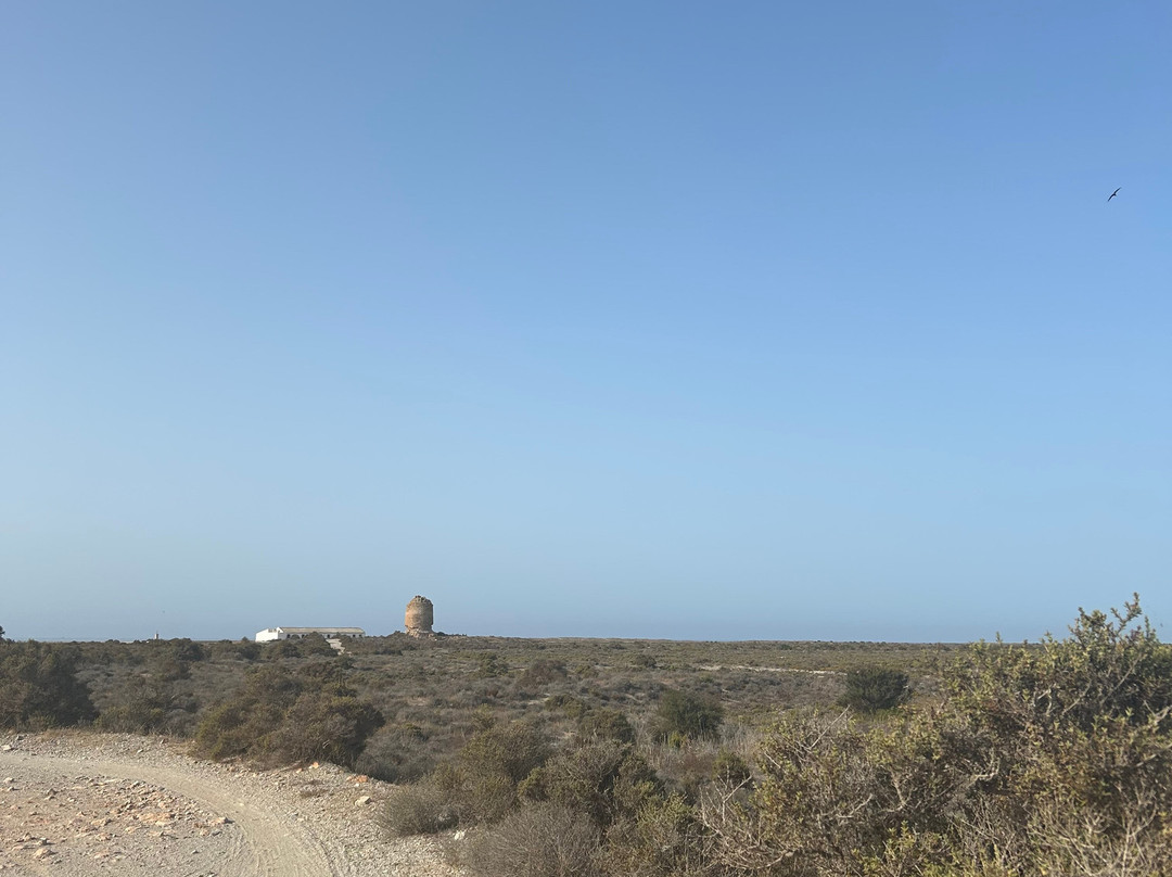 Torre de Cerrillos-滨海罗克塔斯必去景点
