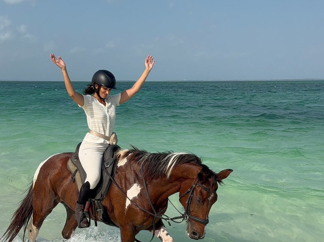 Zanzibar Horse Club-孥归必去景点