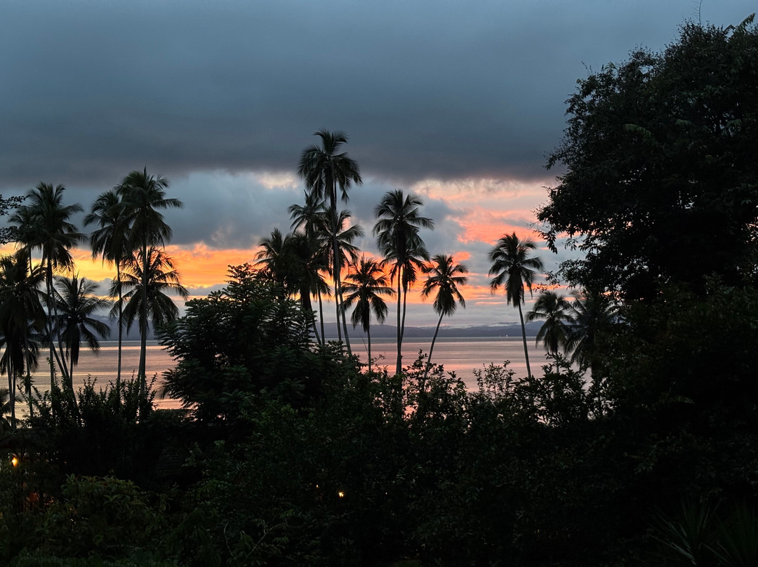 Playa Cativo Lodge主图