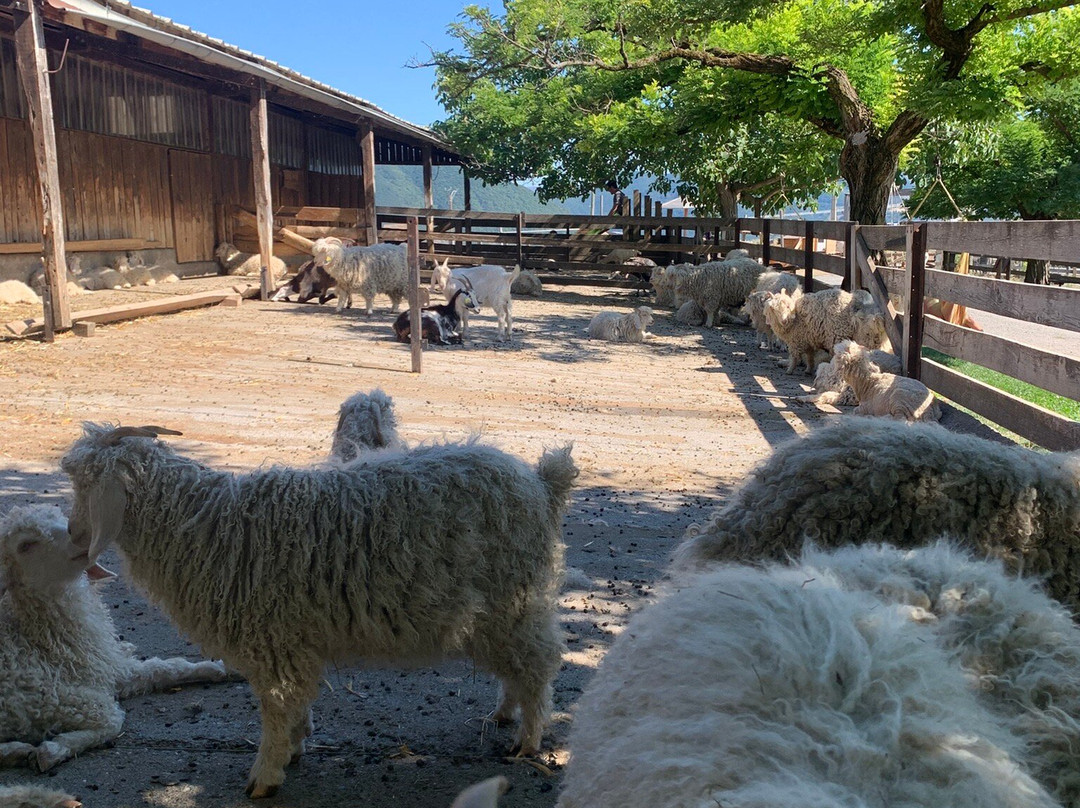 La Ferme Du Col-Jarjayes必去景点