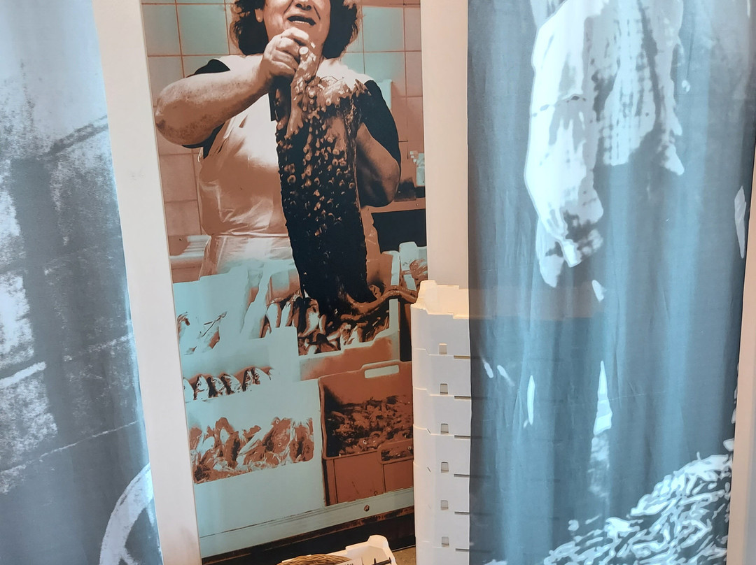 Museo del Mare-圣贝内代托-德尔特龙托必去景点