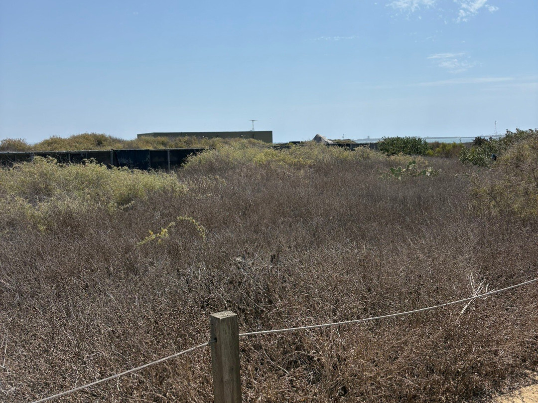Living Coast Discovery Center-丘拉维斯塔必去景点