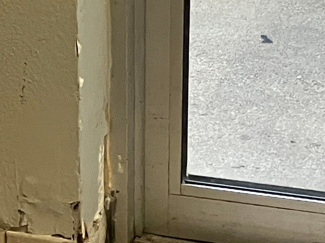 Super 8 by Wyndham Osseo主图