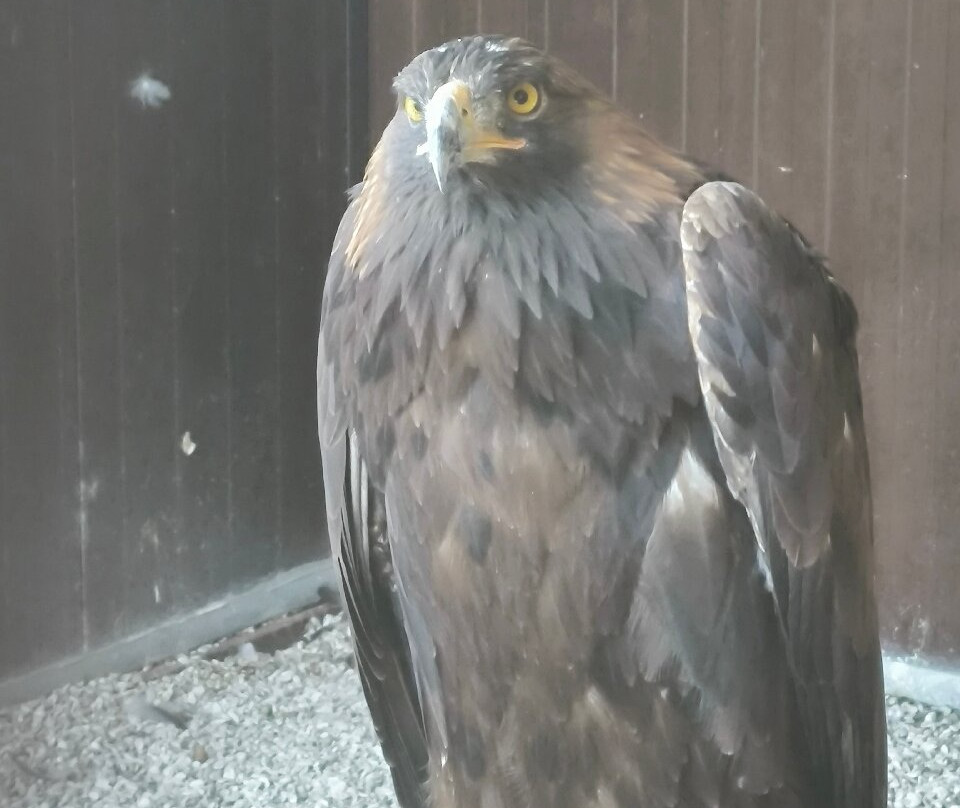 Il Teatro dell'Aria-Gradara必去景点