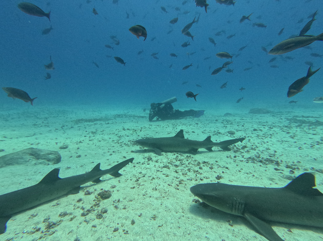 Cruise In Galapagos-阿约拉港必去景点