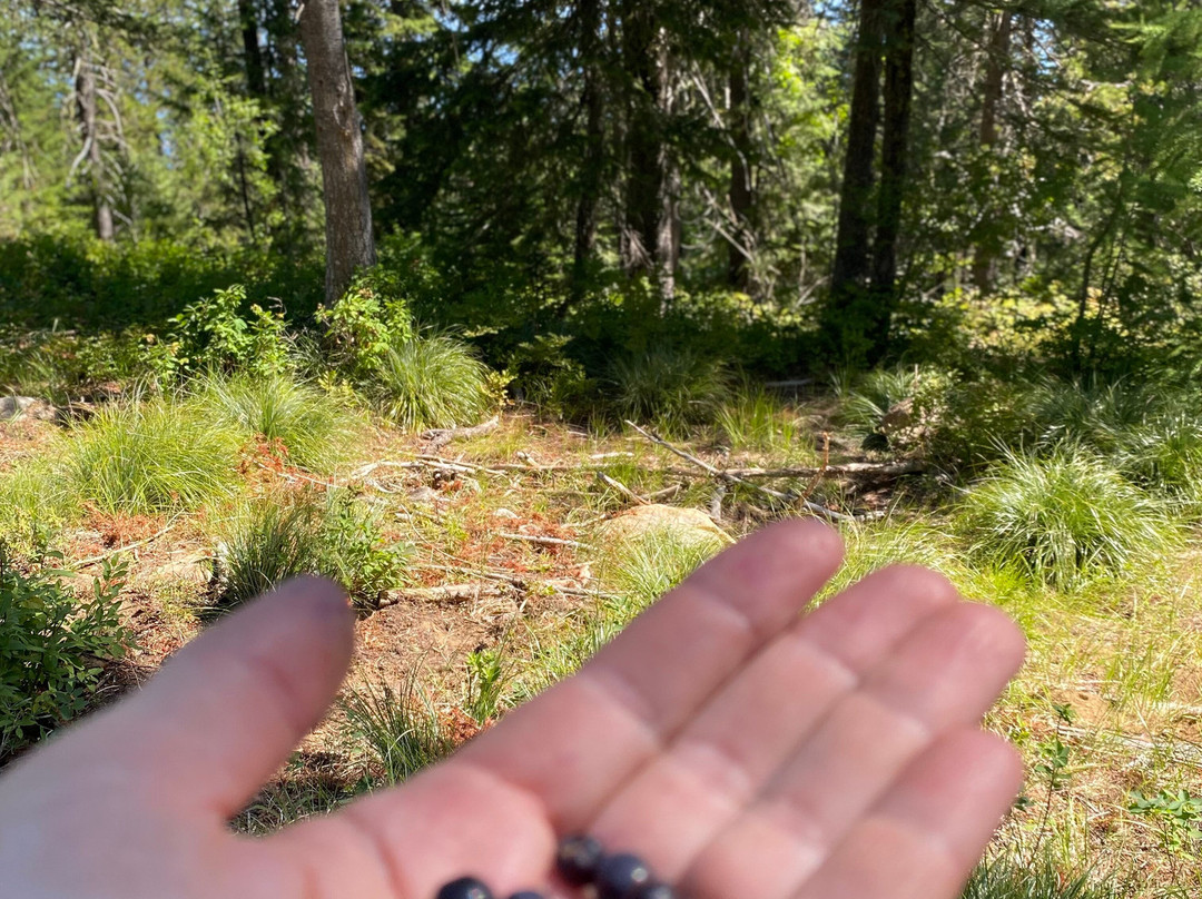Mountain Horse Adventures-桑德波因特必去景点