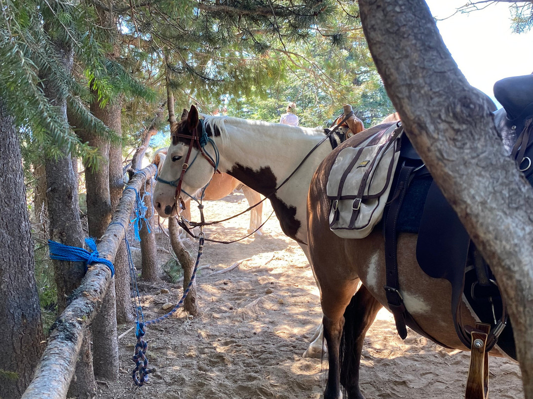 Mountain Horse Adventures-桑德波因特必去景点
