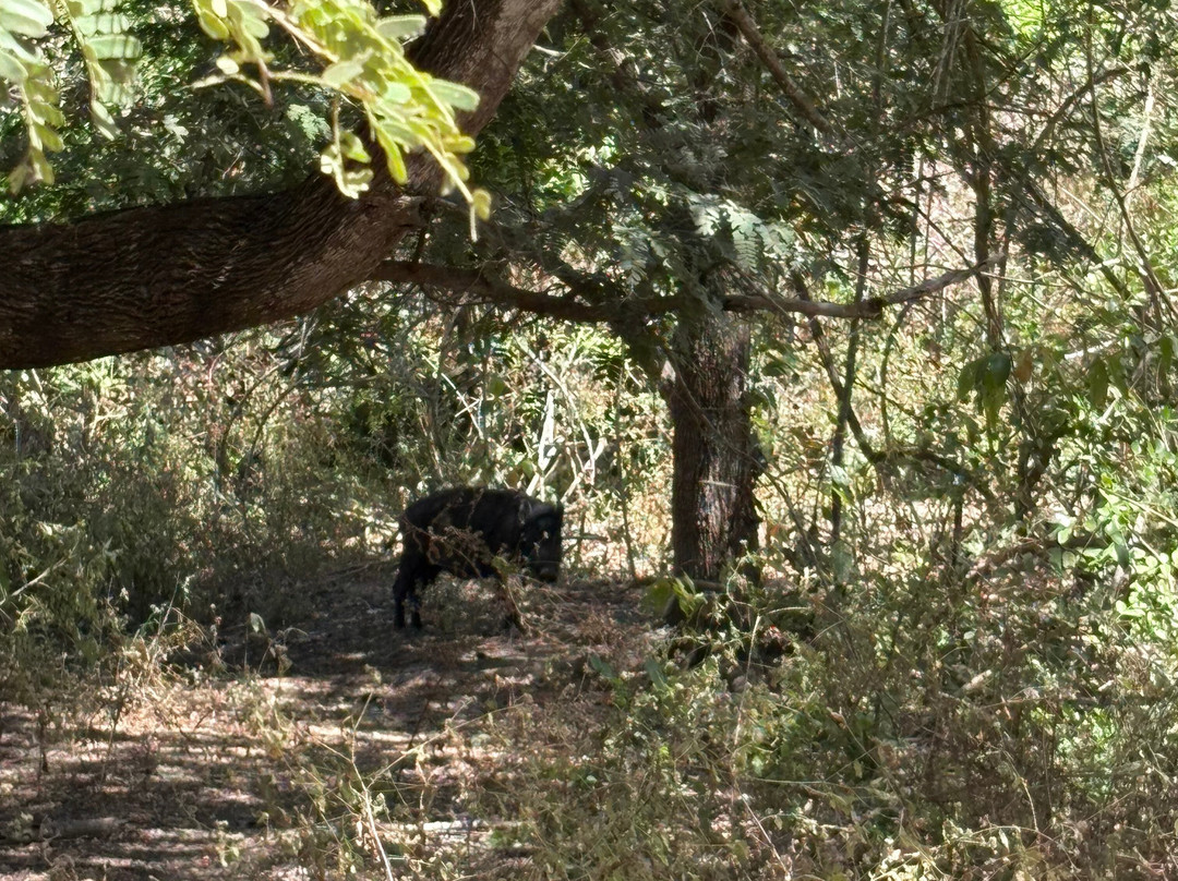 East Cruise Komodo-Labuan Bajo必去景点