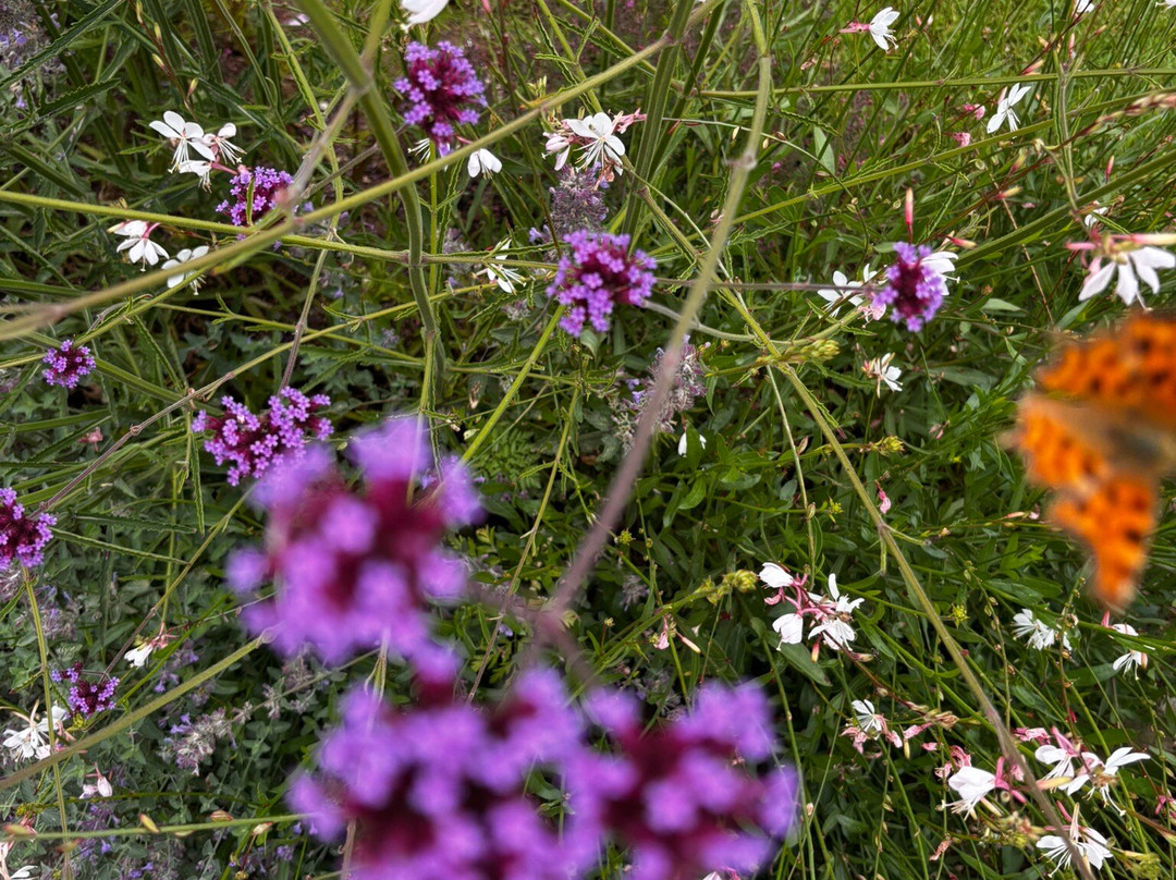 The Old Kent Barn主图