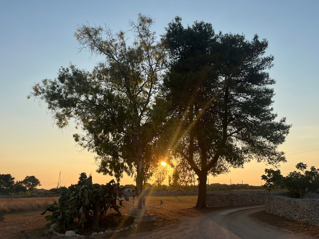 Agriturismo Masseria Quaremme主图