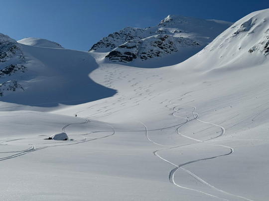 Backyard Svalbard-朗伊尔城必去景点