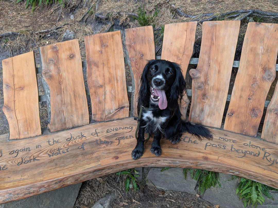 An Lochan Uaine-阿维莫尔必去景点
