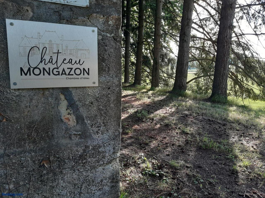 Chateau de Mongazon