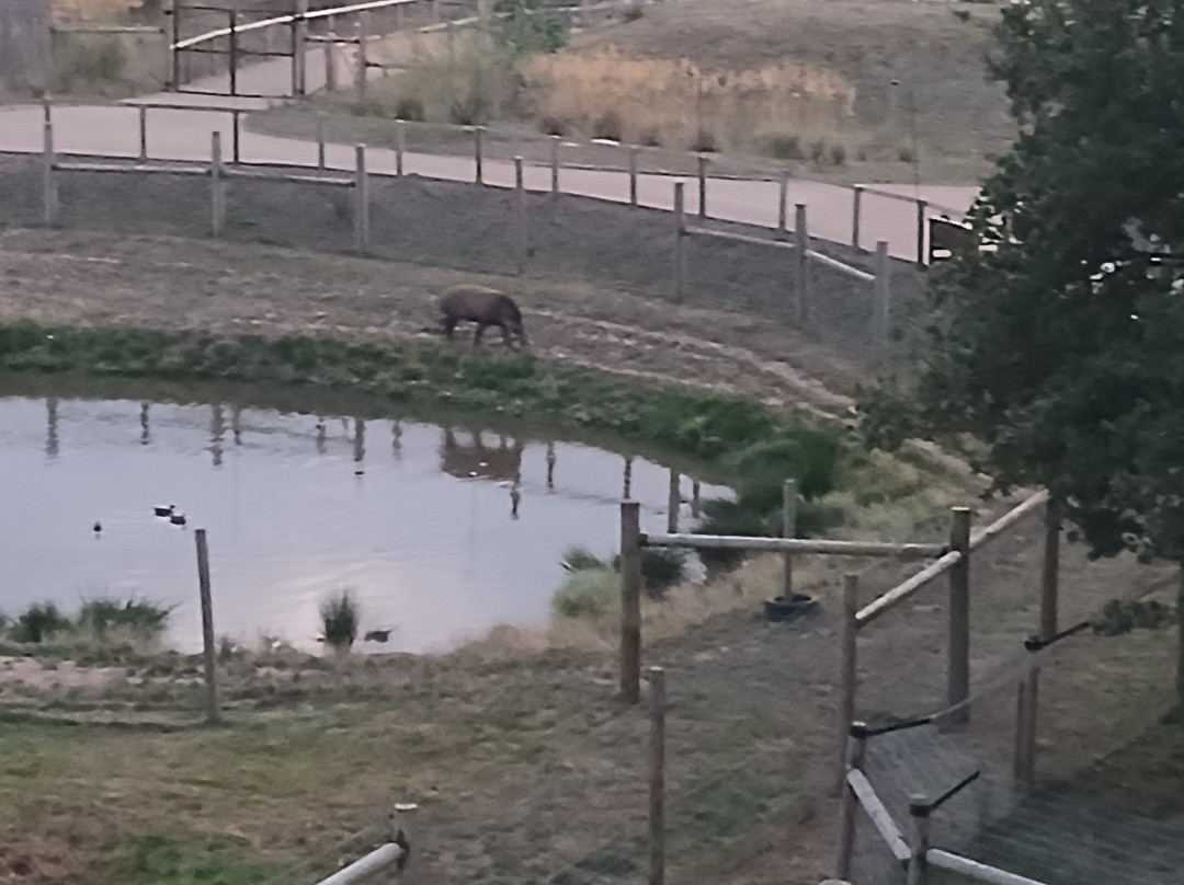 Hex Wildlife Hotel主图