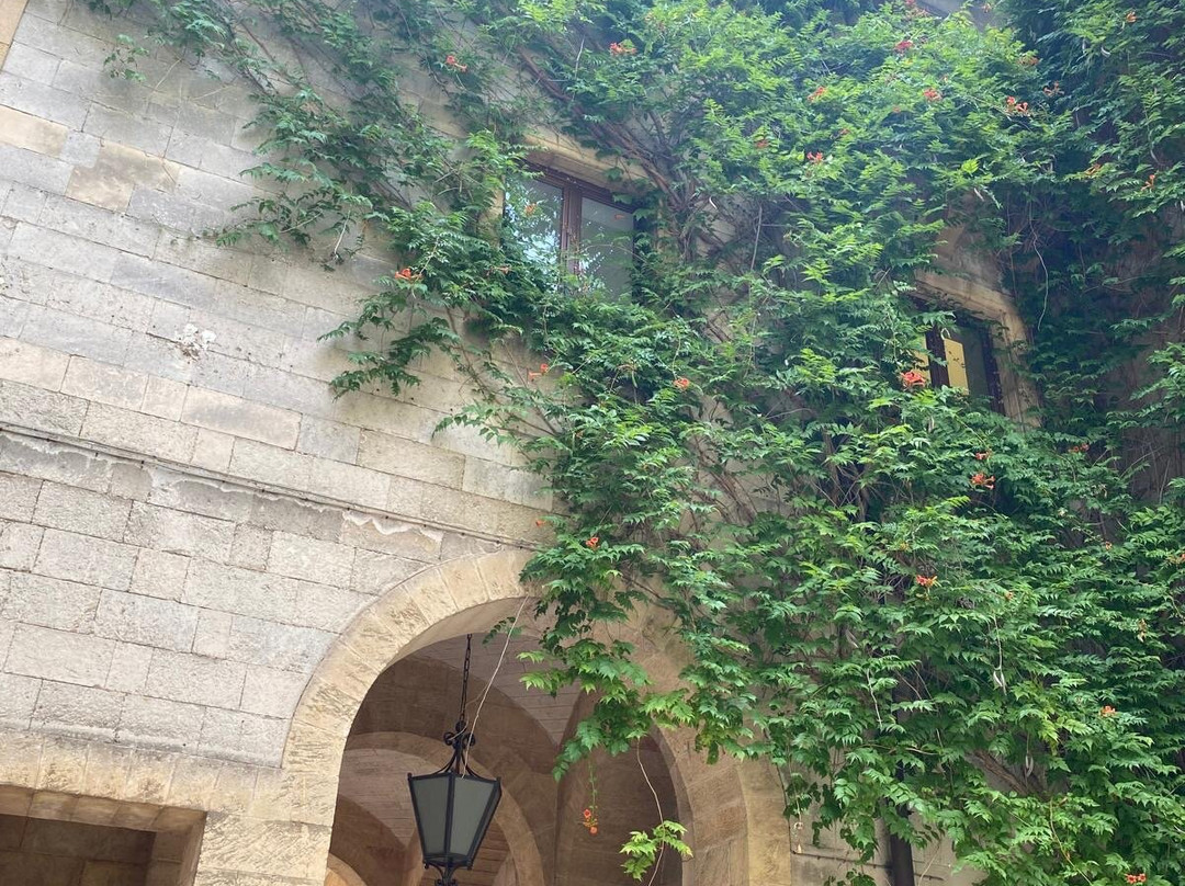 Museo Archeologico Provinciale Francesco Ribezzo-布林迪西必去景点