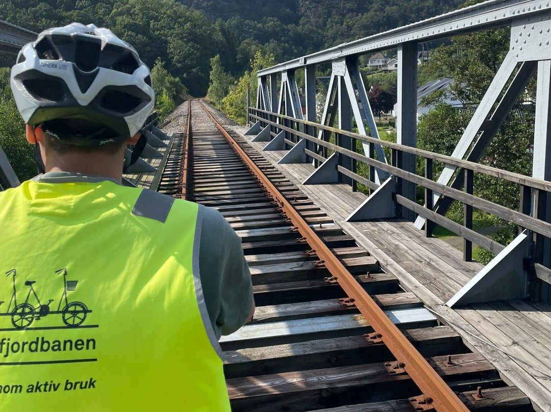 Dresinsykling på Flekkefjordsbanen Day Tours-弗莱克菲尤尔必去景点