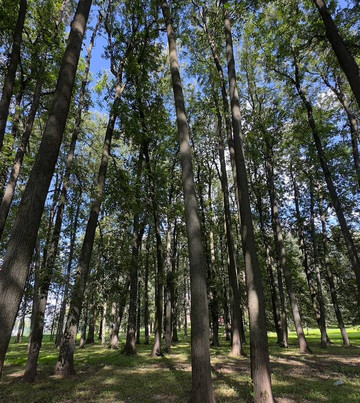 Shhapovo Estate-Shchapovo必去景点