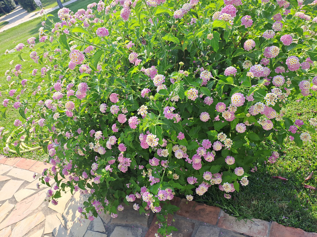 BV Borgo del Principe主图