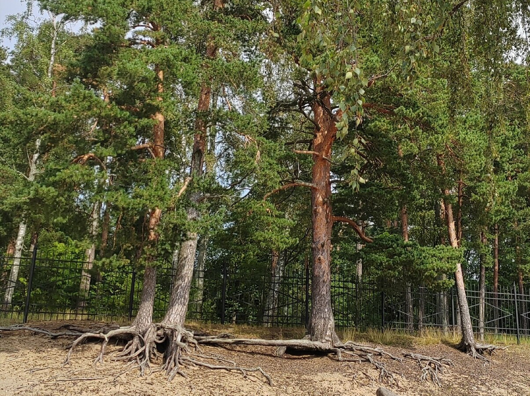 Terijoki Hotel & SPA主图