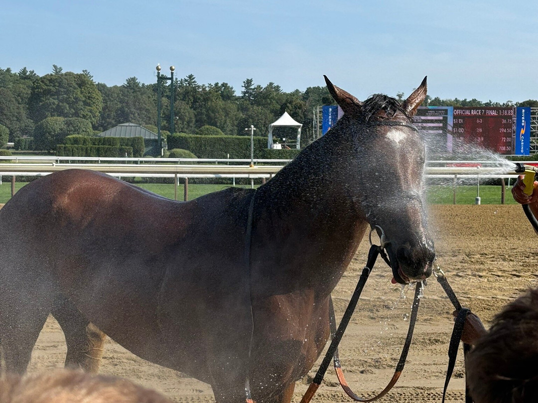 Saratoga Race Course-萨拉托加温泉必去景点