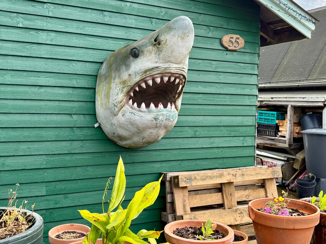 Fjordbyen-奥尔堡必去景点