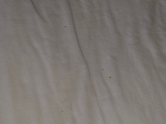 Hampton Inn Detroit/roseville主图