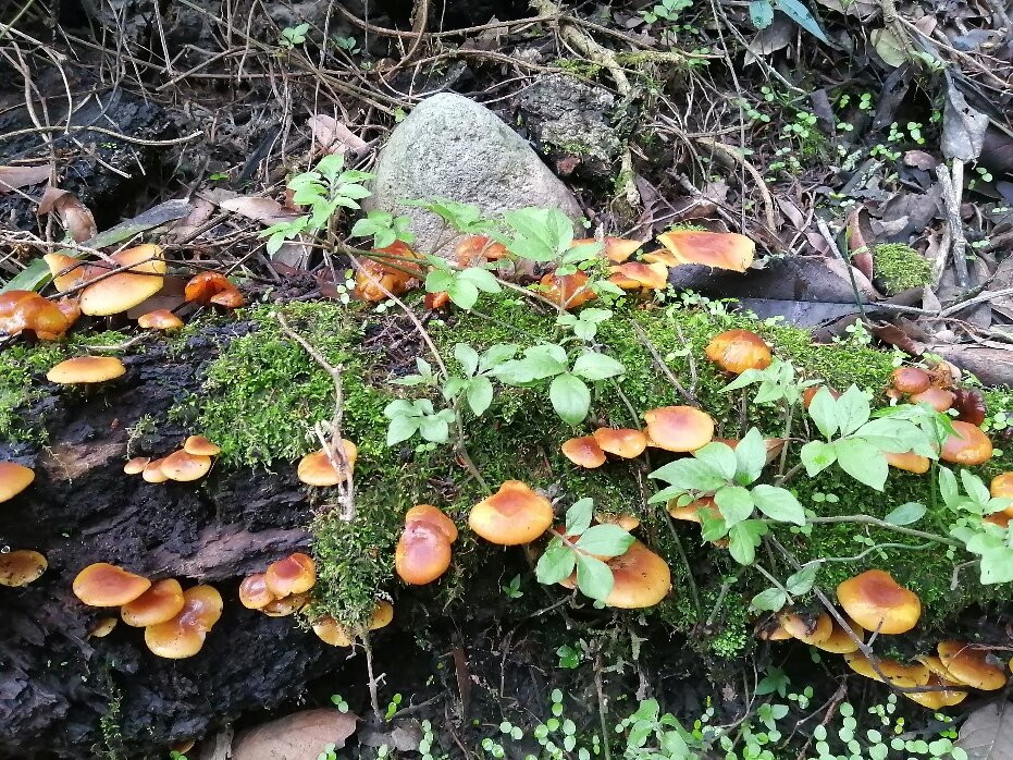 Funset Experience-Amecameca必去景点