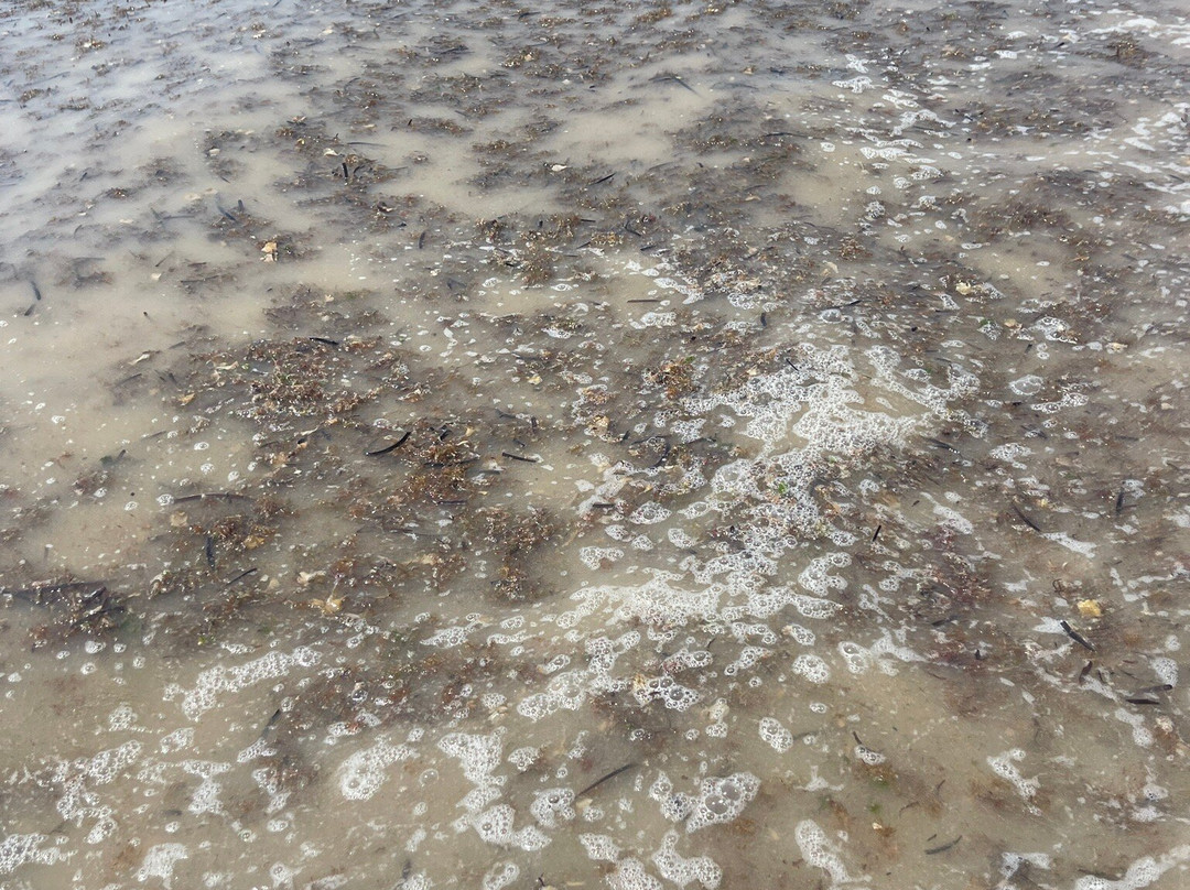 Le Seychelles del Salento-Salve必去景点