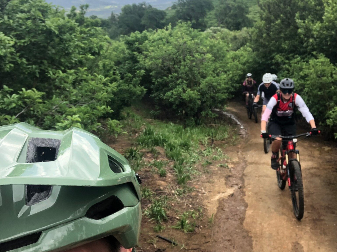 Paarl Trails - Rhebokskloof-帕尔必去景点