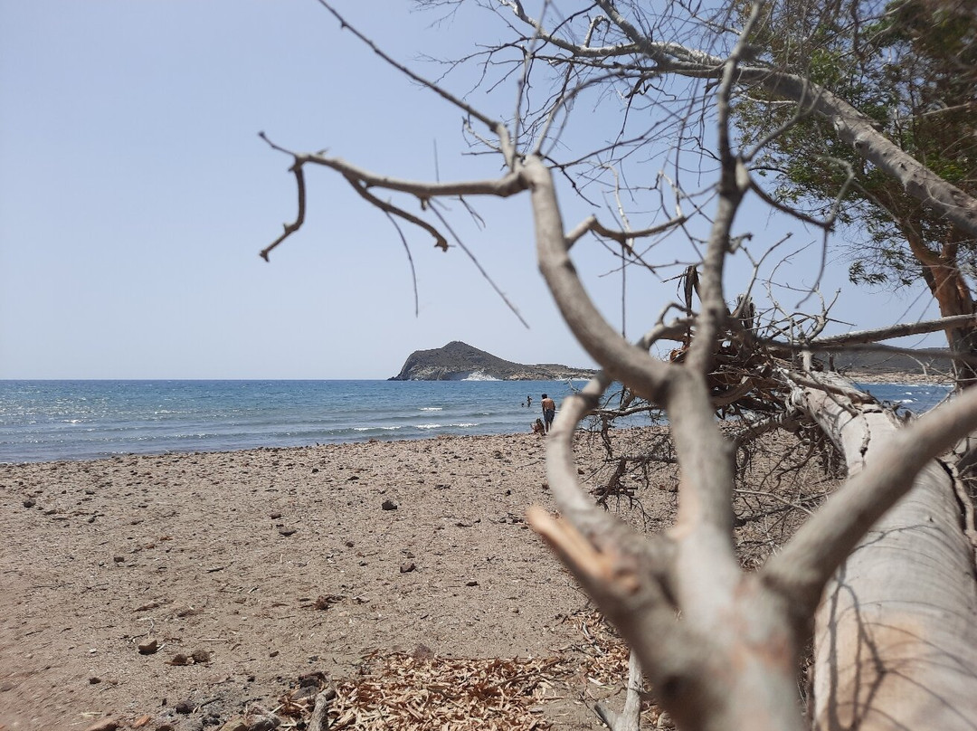 Playa de los Genoveses-加塔角必去景点