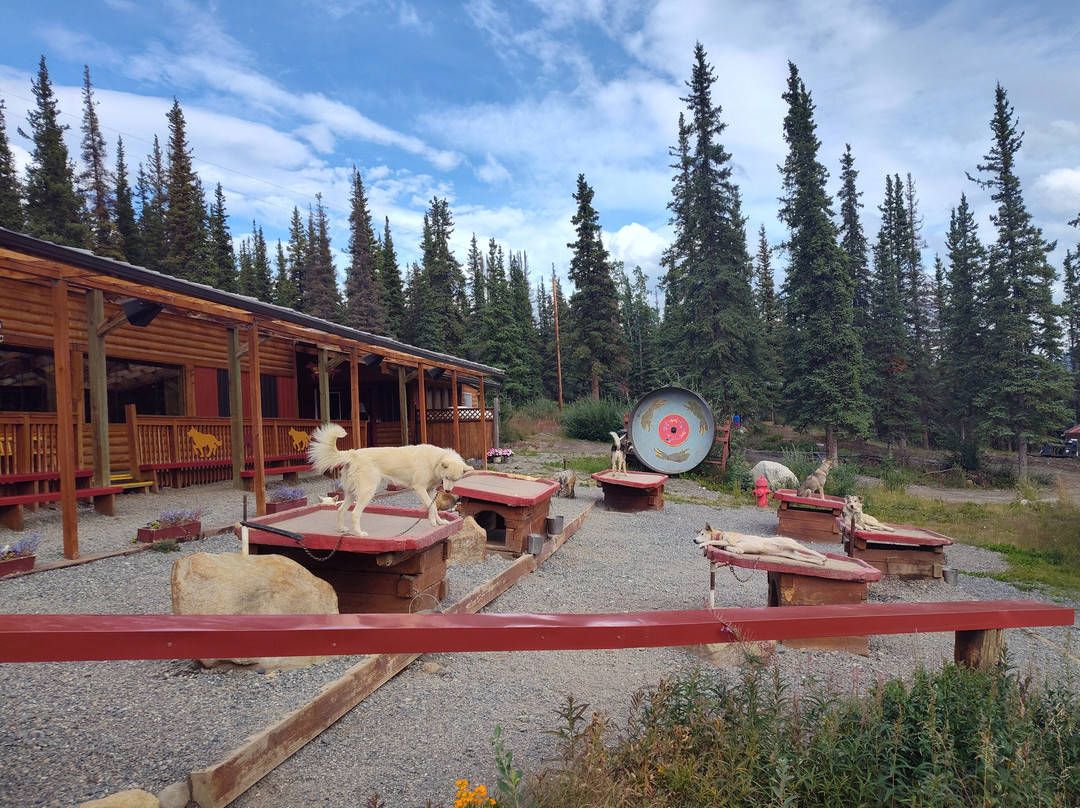 Husky Homestead-德纳利国家公园和自然保护区必去景点