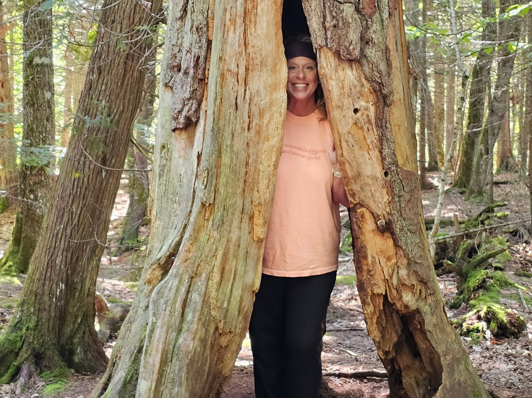 Estivant Pines Nature Sanctuary-Copper Harbor必去景点