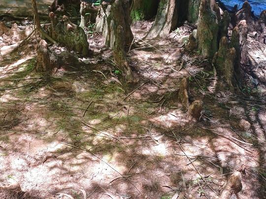 Parque Witeck-Novo Cabrais必去景点