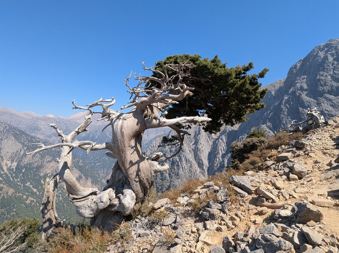 Summit of Gingilos-Omalos必去景点