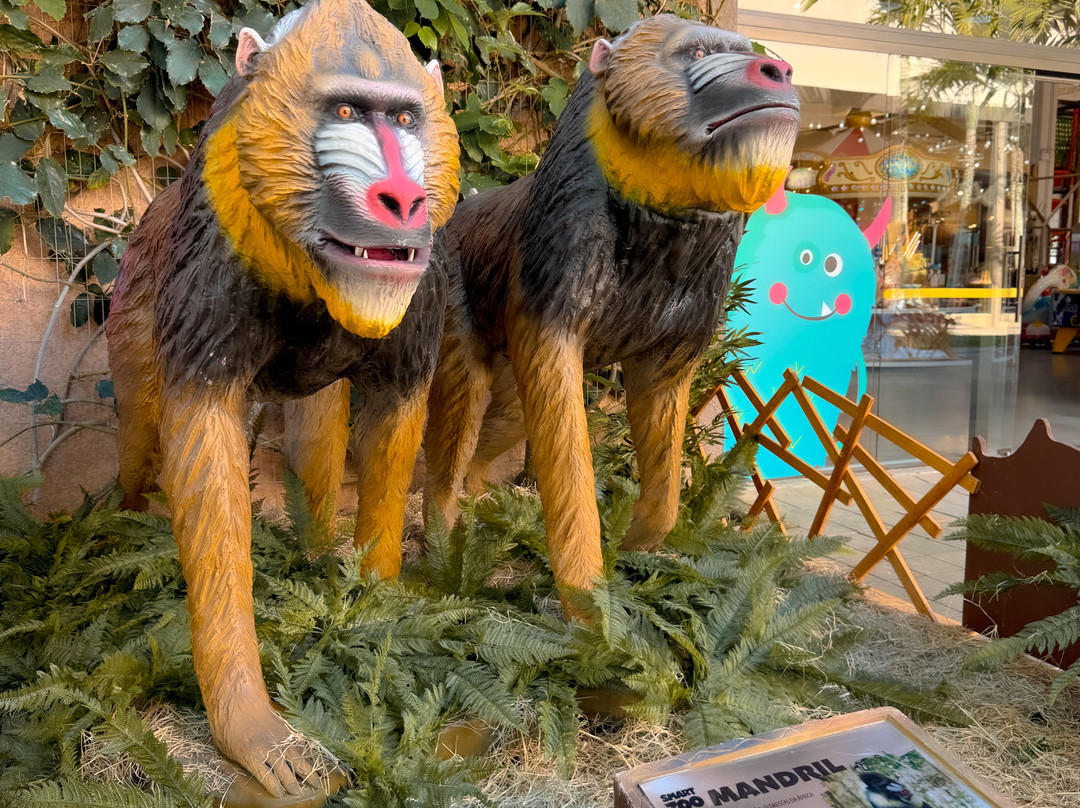 Porto Belo Outlet Premium-Porto Belo必去景点