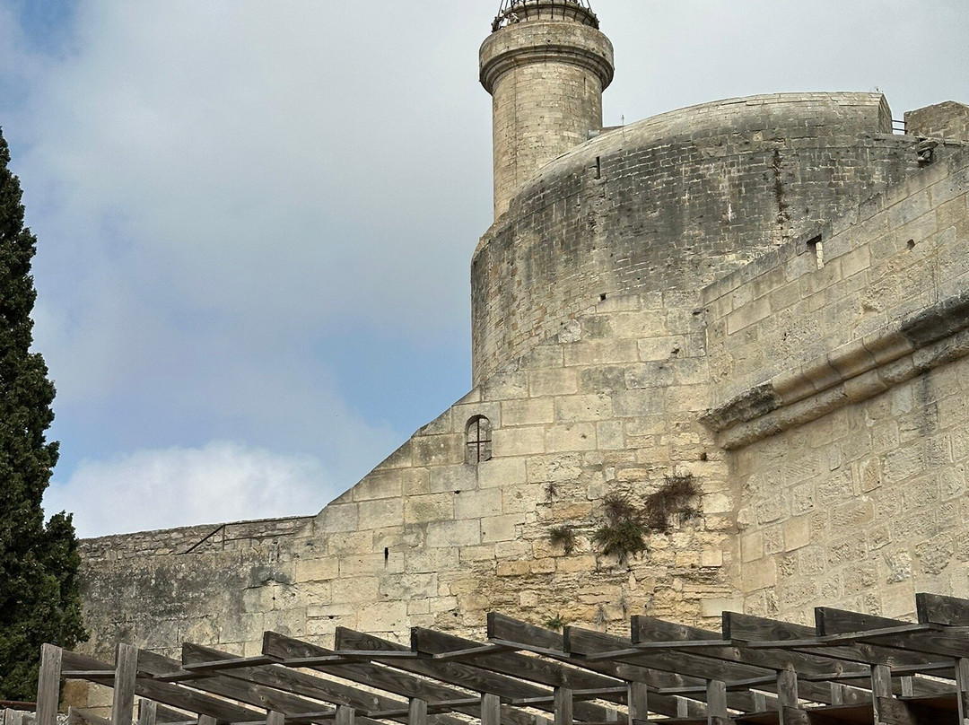 Towers and Ramparts of Aigues-Mortes-艾格莫尔特必去景点