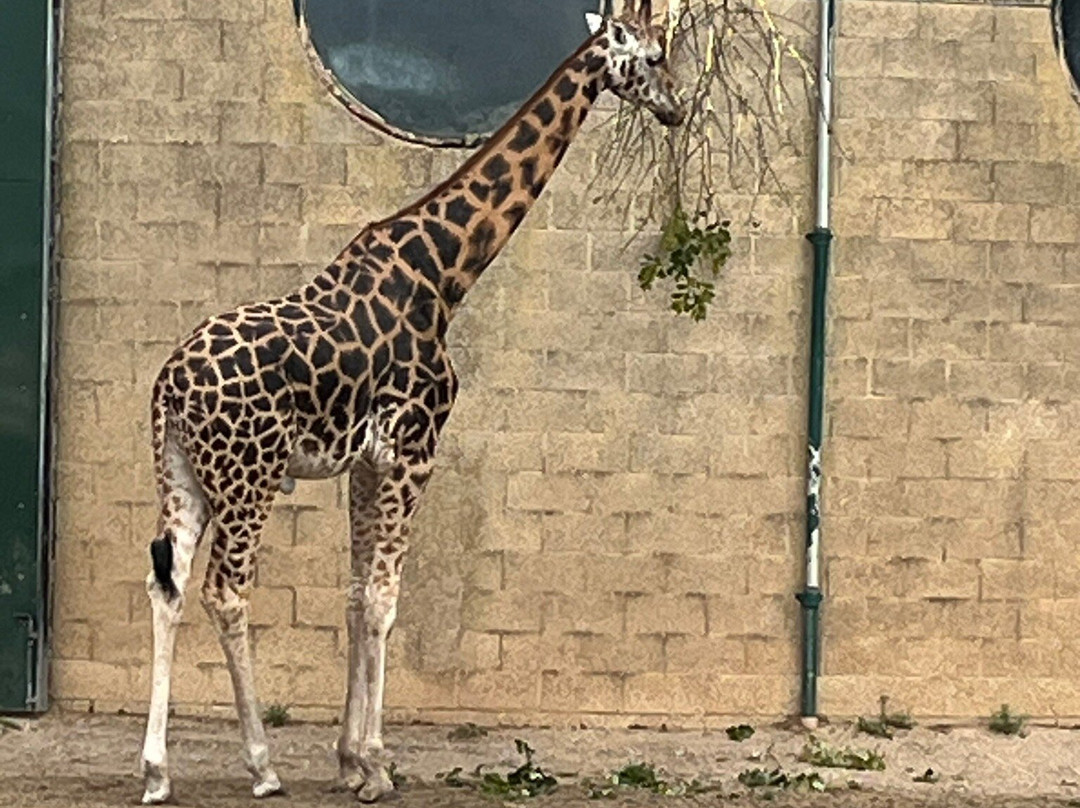 Marwell Activity Centre-Owslebury必去景点