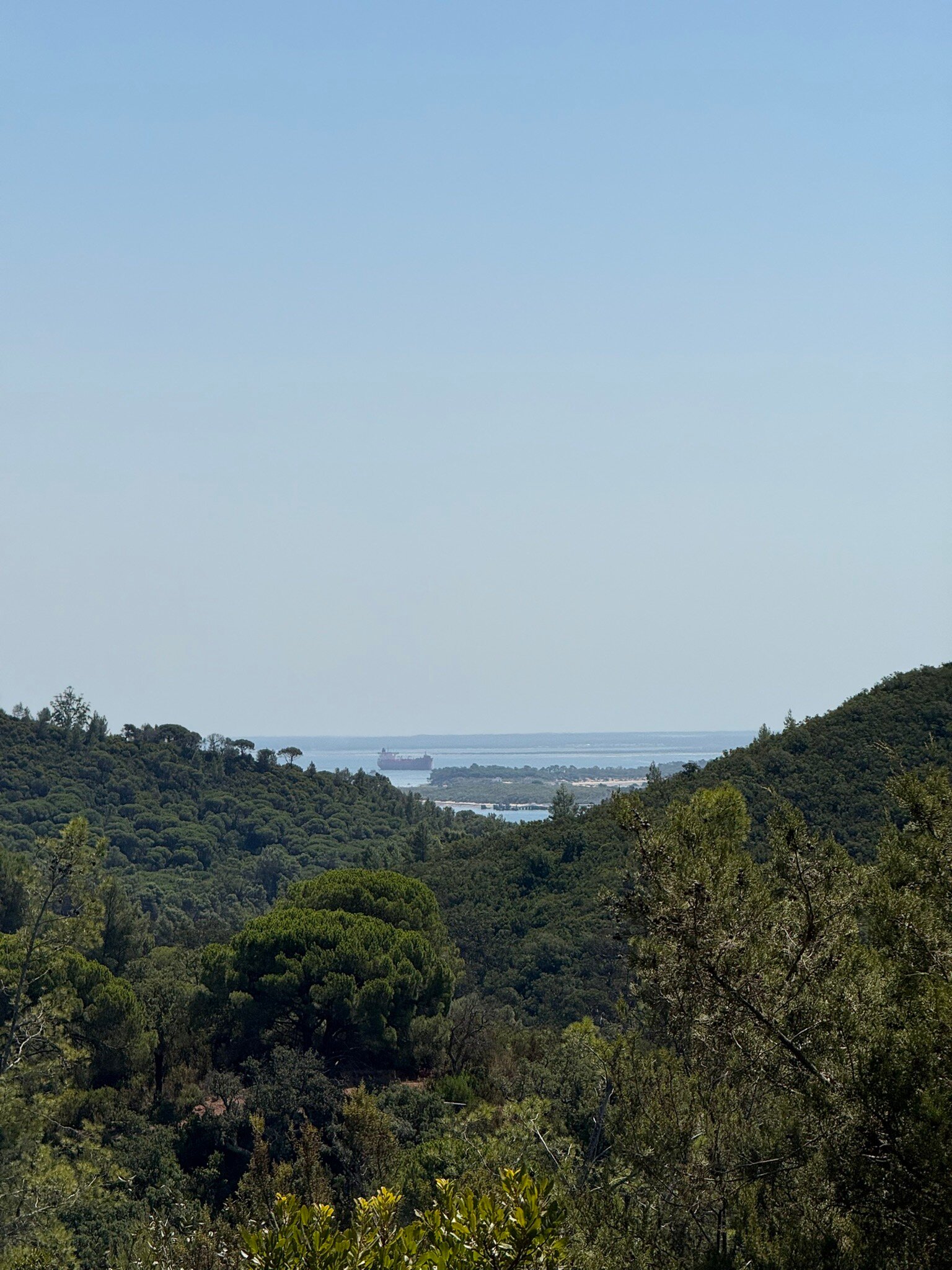 Hotel Casa Palmela-官方